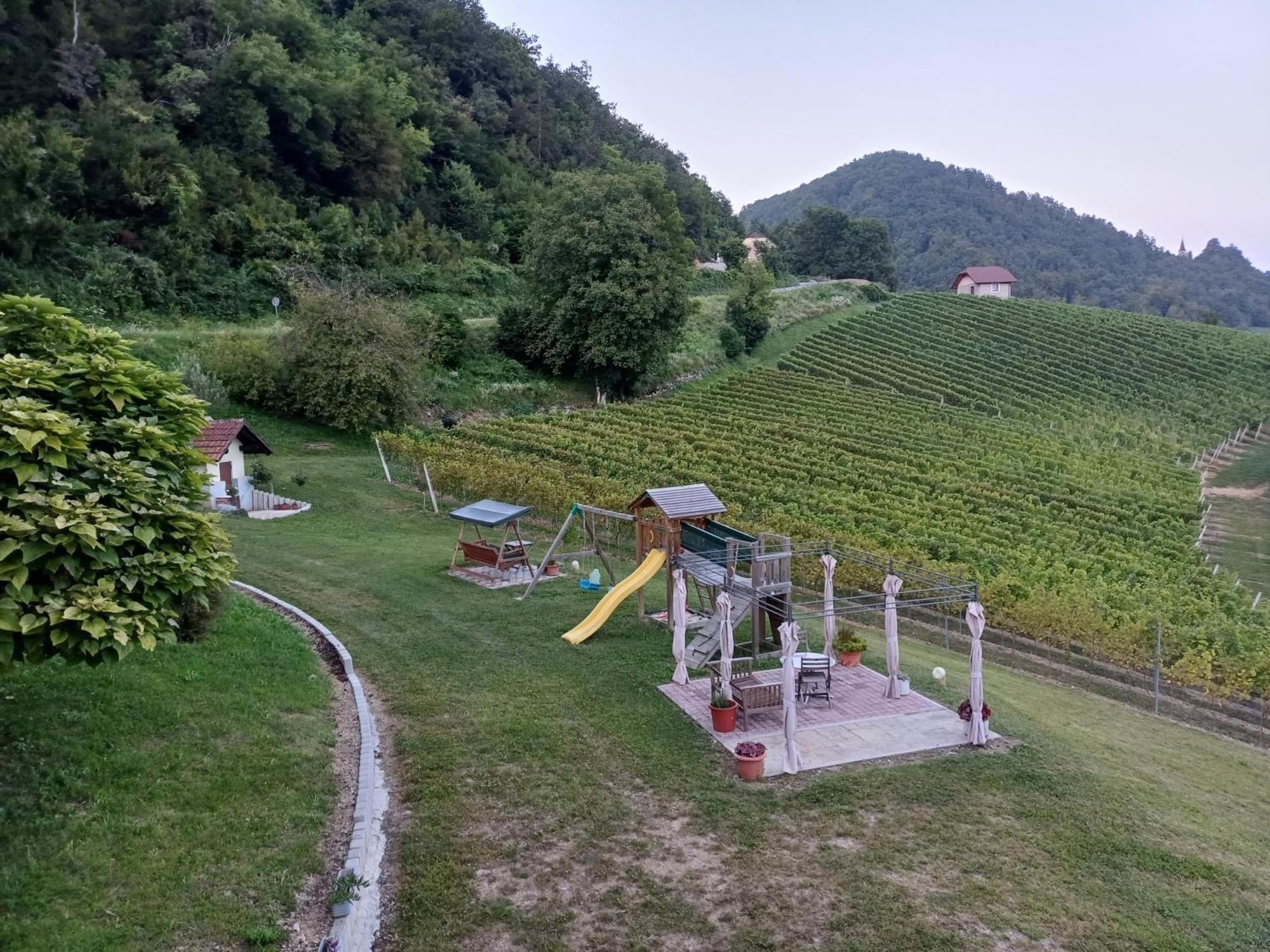 Grobelnik Tourist Farm Villa Sevnica Kültér fotó